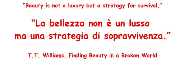 Senza nome 1-page-001