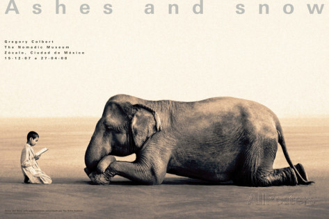 gregory-colbert-boy-reading-to-elephant-mexico-city