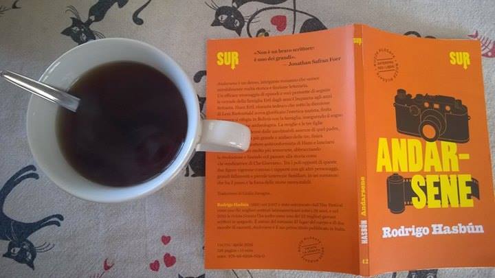 12472653_10209128218231476_1396797719045995304_n